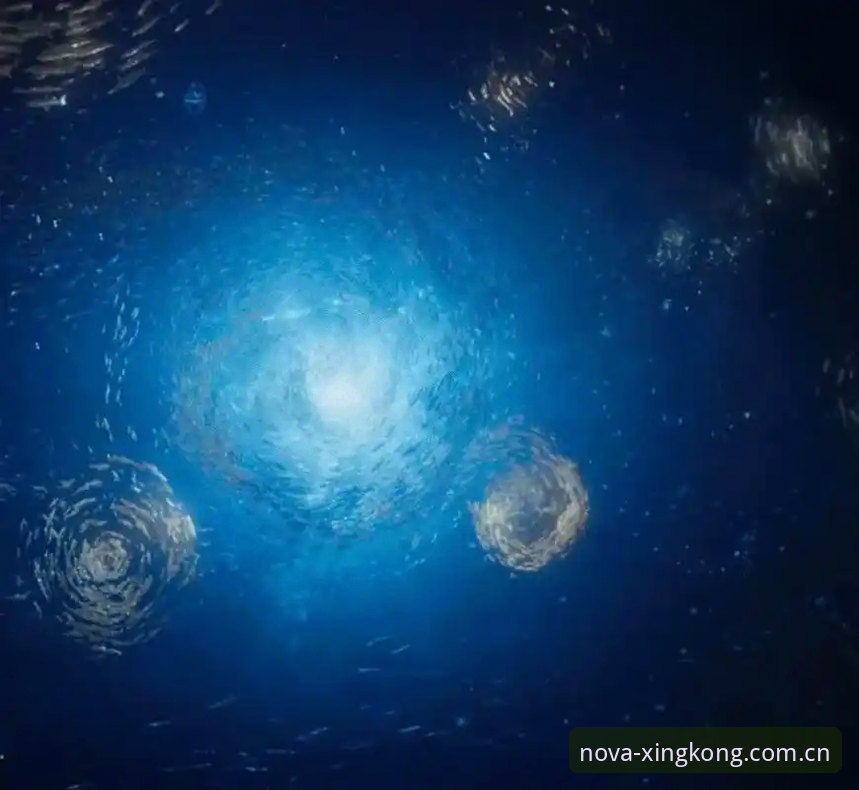 星空登录问题安装失败 星空登录问题安装失败vs成功安装:一个v3.2.1版本的真实修复对比